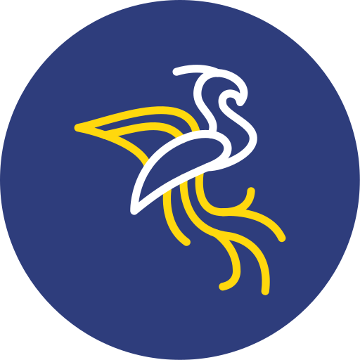 Scolio